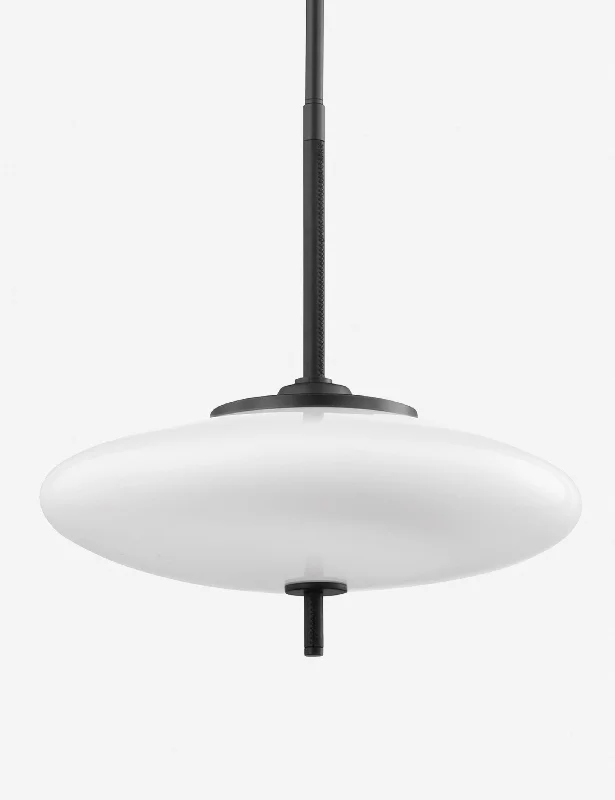 Amrita Pendant Light