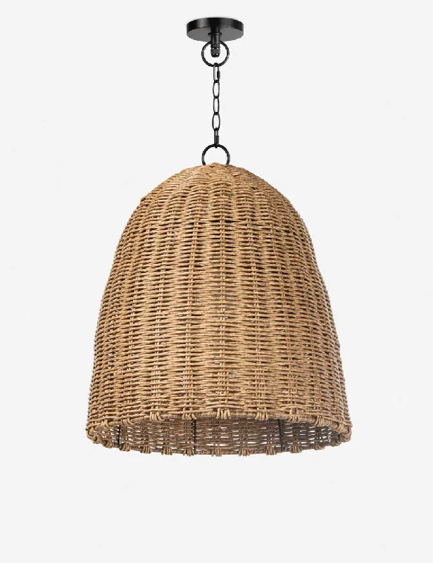 Coastal Living Beehive Outdoor Pendant Light by Regina Andrew