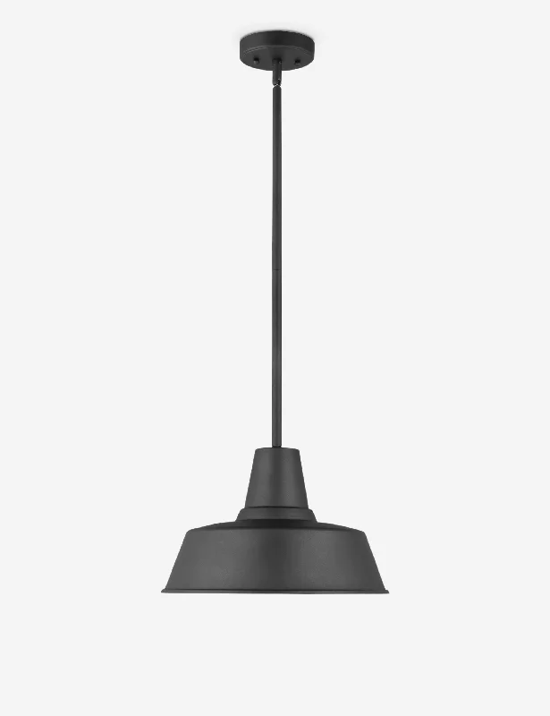 Fisher Outdoor Pendant Light