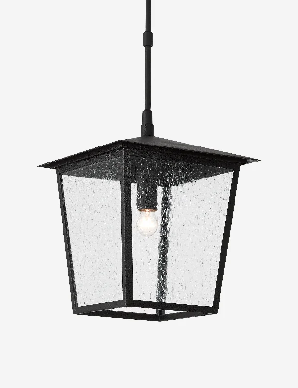 Leanne Outdoor Pendant Light