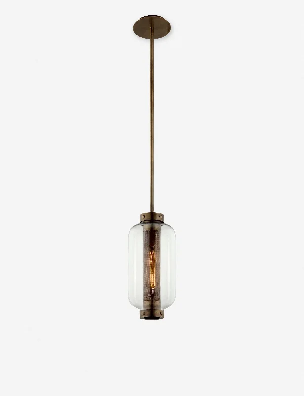 Romelia Indoor / Outdoor Pendant Light