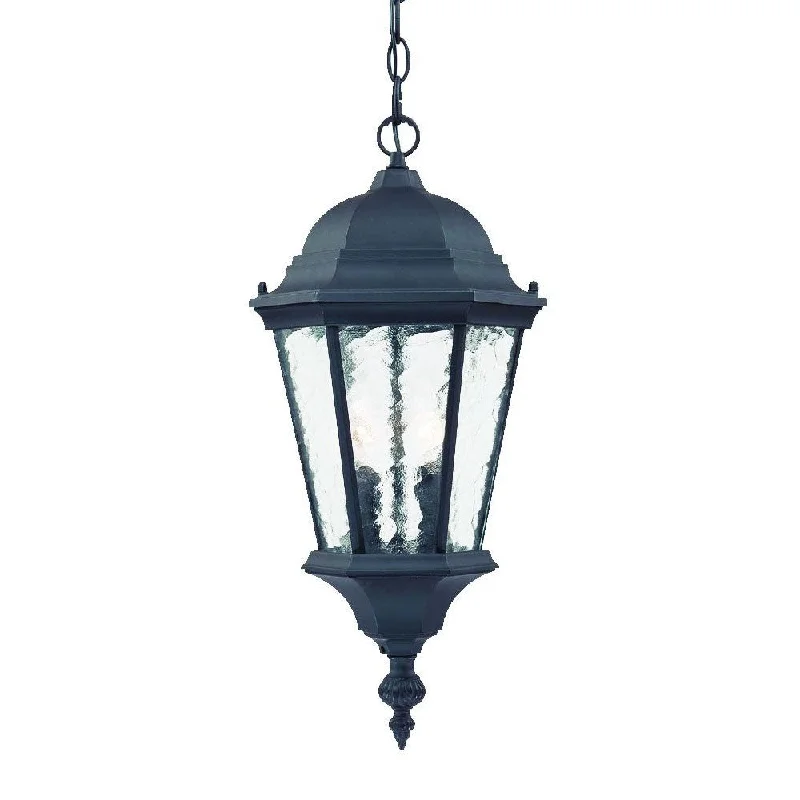 Two Light Matte Black Carousel Lantern Hanging Light