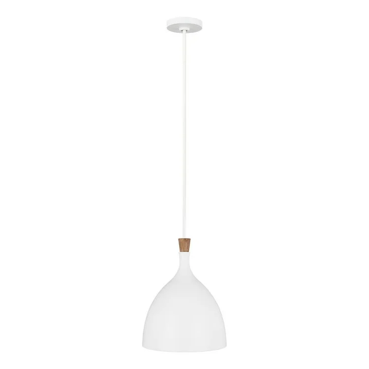 Darwin Single-Light Medium Pendant by Ellen