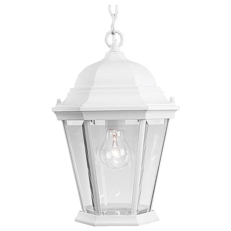 Welbourne Single-Light Small Hanging Lantern