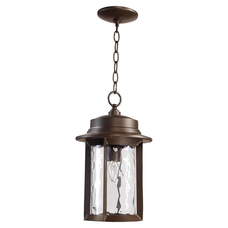 Charter Single-Light Outdoor Hanging Lantern